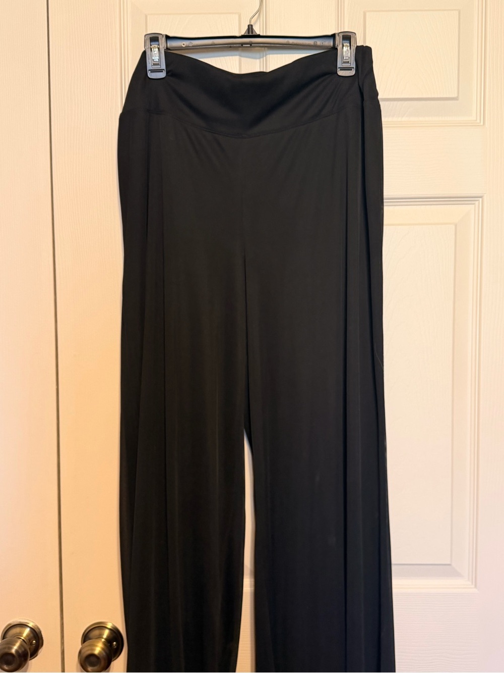 Sheer Black Wide-Leg lined  Dress Pants (size 1X) Great under Dressy Tops!